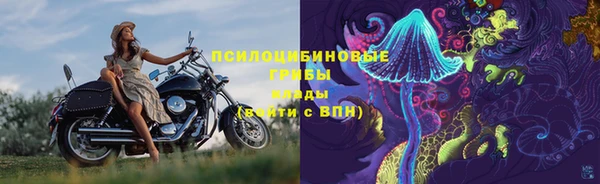 СК Алексеевка