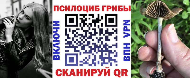 Галлюциногенные грибы мицелий  Щёлкино 